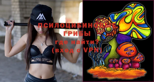 сатива Михайловка