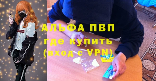 мдпв Михайлов