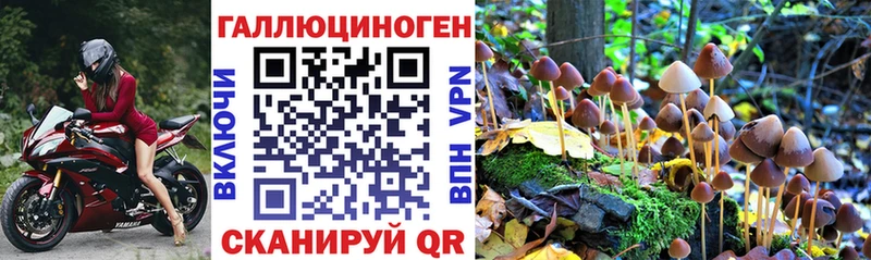 дарк нет как зайти  Облучье  Галлюциногенные грибы прущие грибы  наркотики 